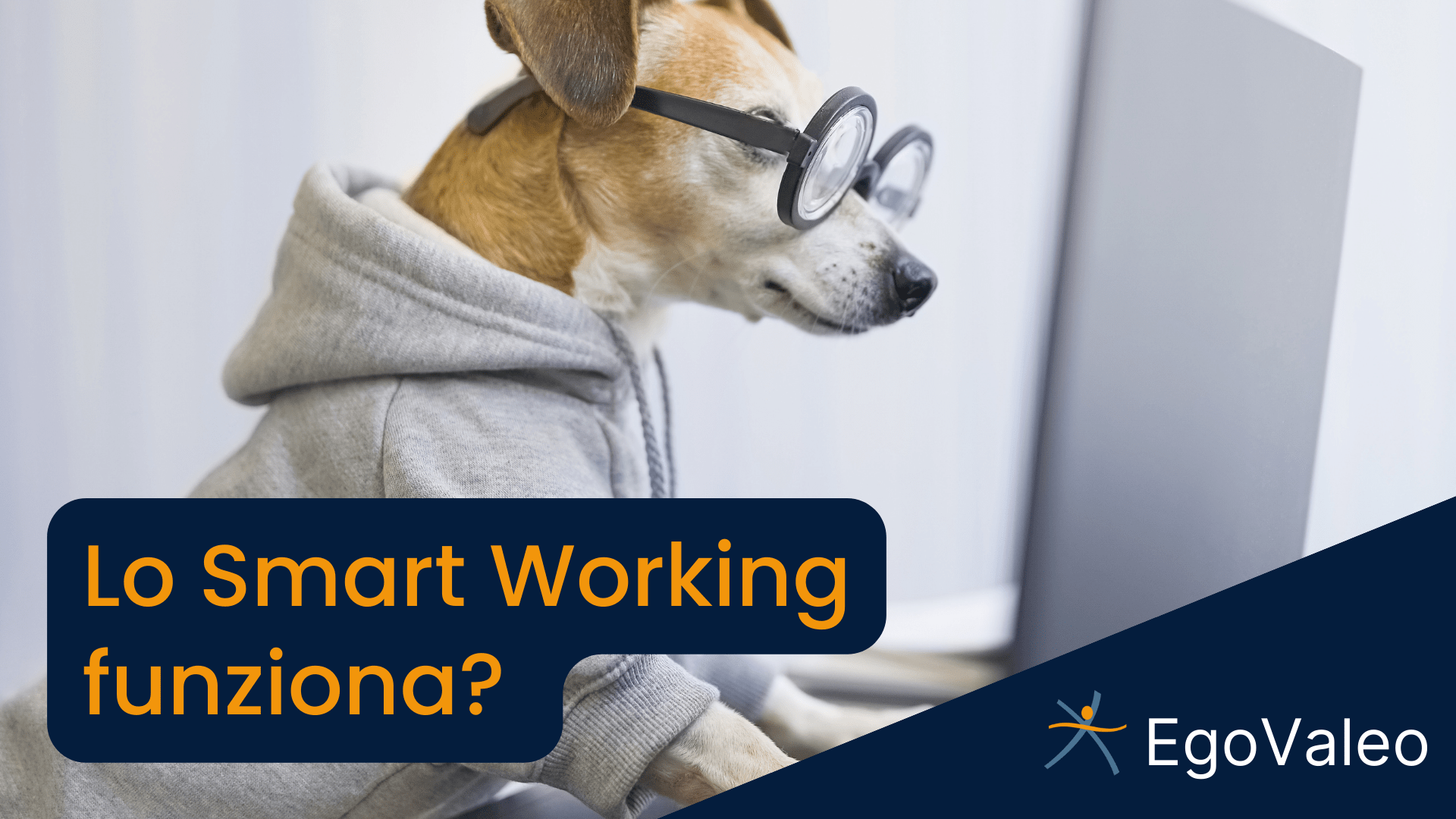 Lo smart working funziona?