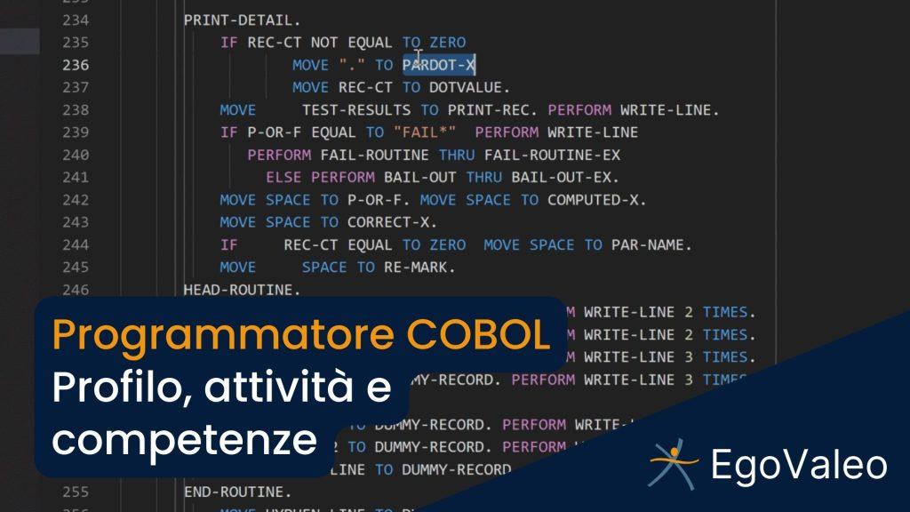 Programmatore COBOL: cosa fa e competenze